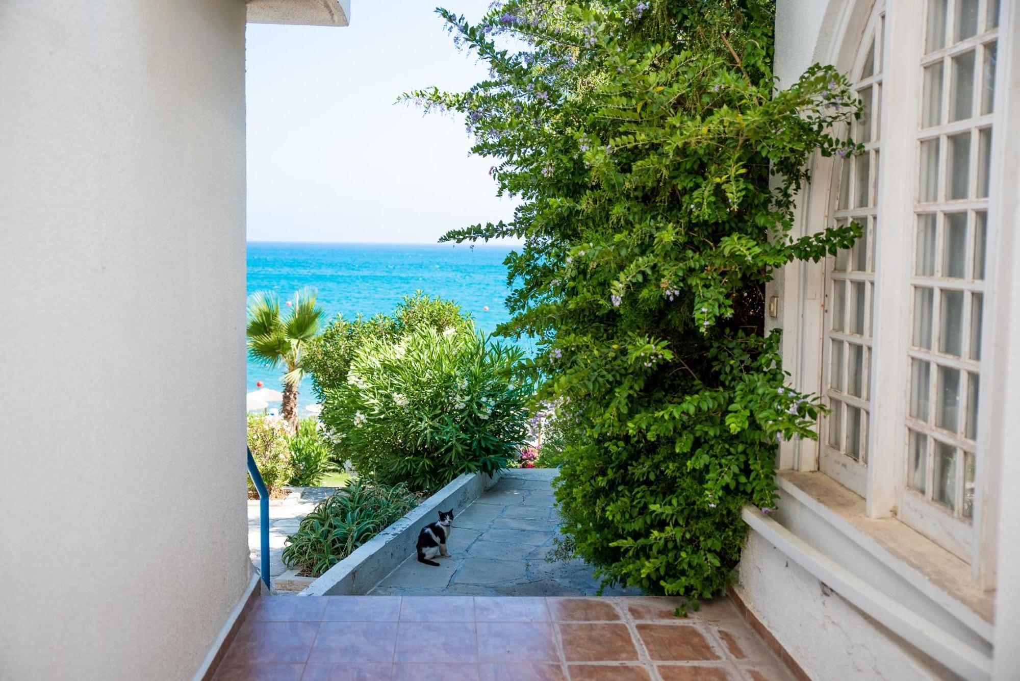 Pissouri Bay Studio Ngoại thất bức ảnh